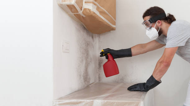 Professional Bathroom Mold Removal technician working in Holland, MI